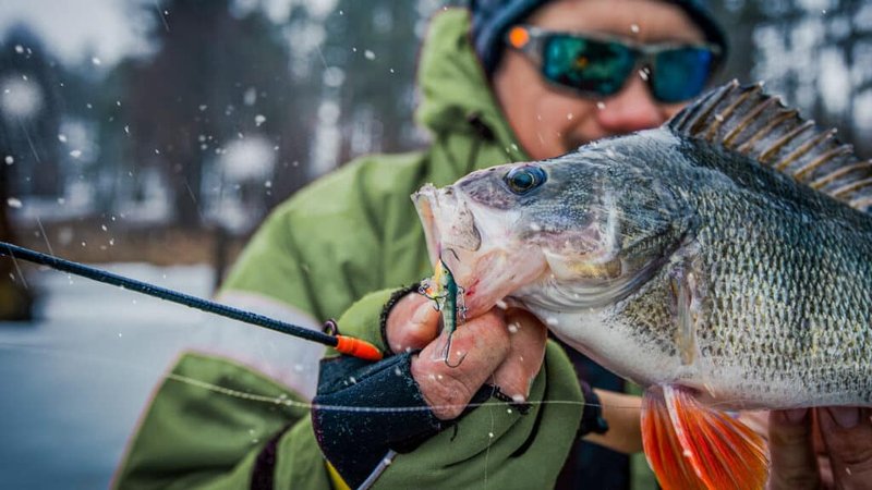 Introduction to ice fishing live casino