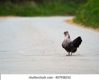Chicken road casino, chicken road online